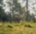 Kathi_Knappensee_Leppner_Alm_24-1140_edited_edited.png