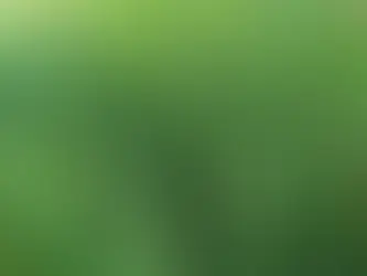 Les bienfaits de la citronnelle et des herbes locales sur la digestion.