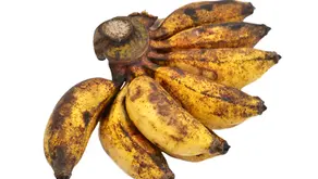 L'histoire de la banane plantain : De l'Asie à nos tables africaines