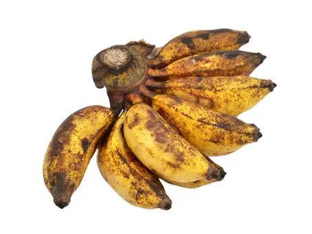 L'histoire de la banane plantain : De l'Asie à nos tables africaines