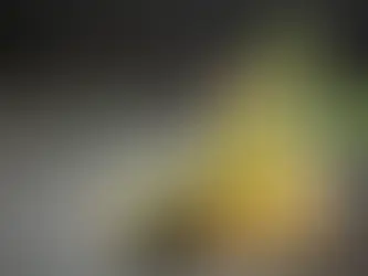 Vitalité au naturel : 3 boissons détox locales pour purifier votre organisme