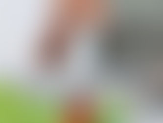 Comment rattraper un plat trop salé ?