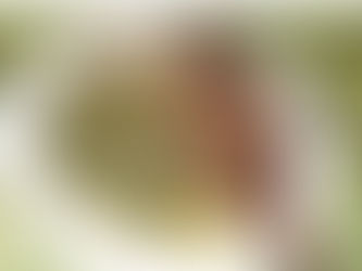 Recette de mon pays: Poisson frit aux légumes verts.