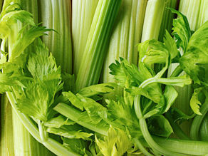 Découvrez les secrets culinaires du céleri : un ingrédient polyvalent et savoureux.