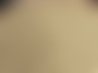 Focus sur le mil : une céréale ancestrale en pleine renaissance.