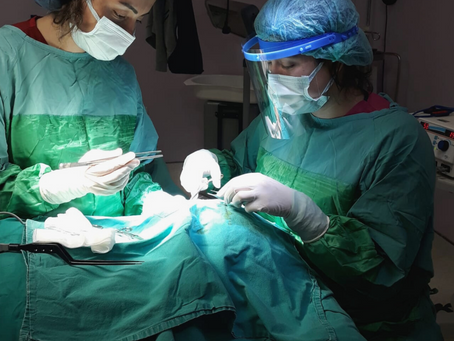 Dermatolojik Cerrahi Eğitim Programı