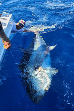 BeautyPlus_20230427174753334_save