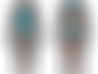 Diagram of muscles used in the Push movement pattern, highlighting chest, shoulders, triceps, serratus anterior, core, and stabilisers.