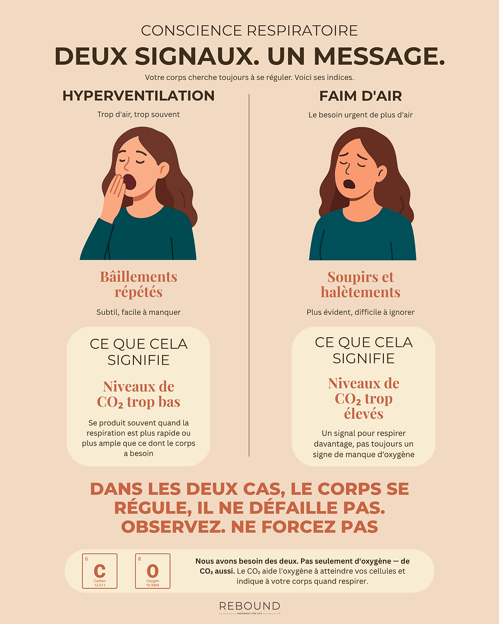 Infographie expliquant la différence entre la sur-respiration, illustrée par des bâillements répétés, et la faim d'air, illustrée par des soupirs ou des halètements, et la façon dont les deux sont liées à l'autorégulation du corps.