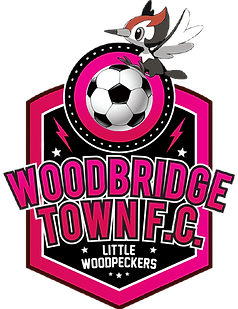 Picture1-removebg-preview (1).png