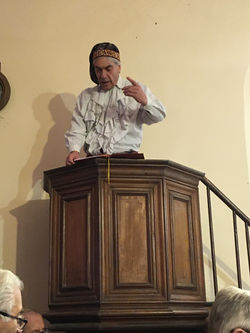 Denis Parmain - Le Lion Vert