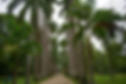 BOTANICAL GARDENS