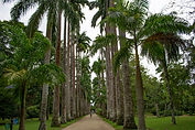 BOTANICAL GARDENS