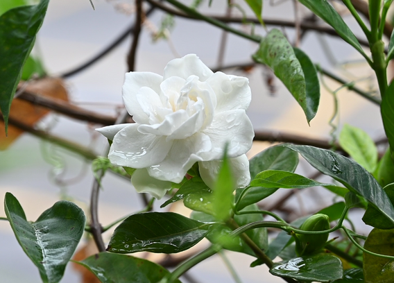 螢幕擷取畫面 2022-03-30 211956.png