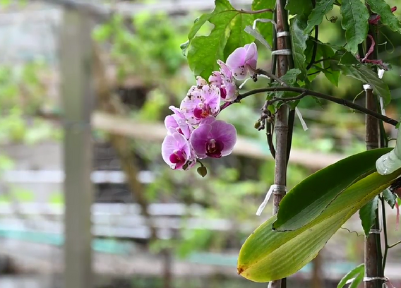 螢幕擷取畫面 2022-03-30 211821.png