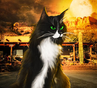 The Shadow Enforcer | Urban Fantasy Series