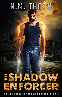 The Shadow Enforcer | Urban Fantasy Series