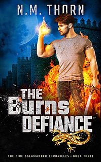 The Burns Defiance | N.M. Thorn | Urban Fantasy Book