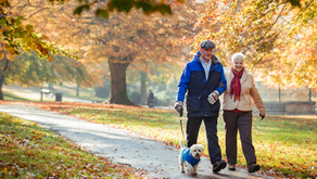 Older couple walking their small dog along a tree-lined path surrounded by colorful fall foliage.
