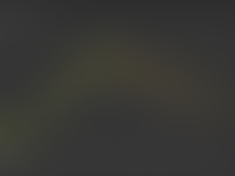 Dollar Index Crash: Our Cyclical Analysis