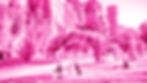 vivre-website-photo-retouche.jpg