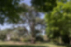 ic_tb2015n394_04_cadichd.jpg