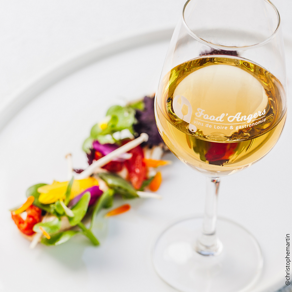 VIVEZ UNE EXPÉRIENCE CHENIN AVEC LE DOMAINE DE LA TUFFIÉRE