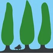 Musique dans les vignes