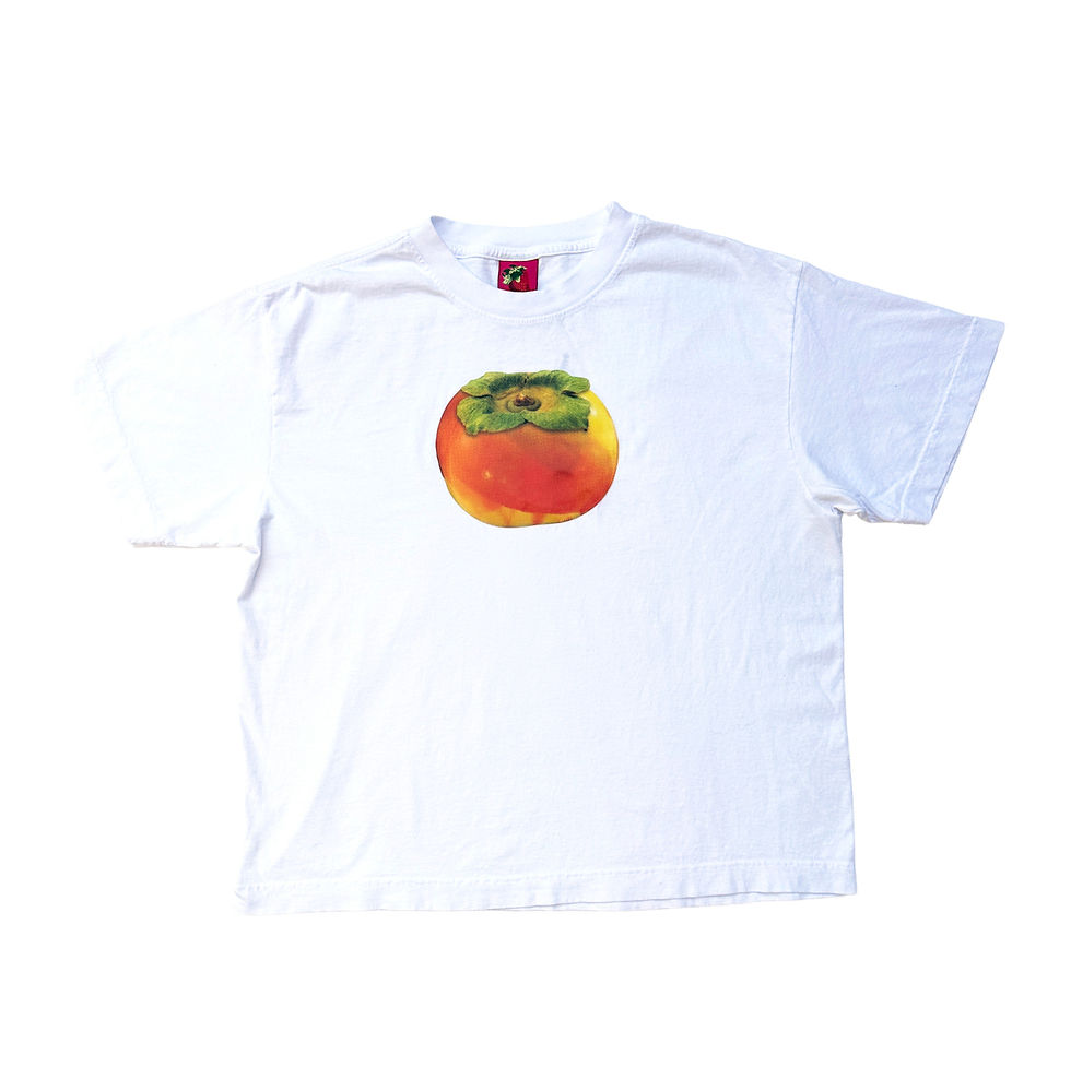 Lenticular Persimmon T-Shirt