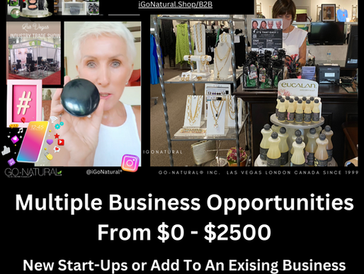 Multiple REAL Business Opportunities From $0 to $2500 * Easy Business Opportunities For Anyone