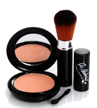 Reviews For Go Natural Makeup The All In One Cosmetic Makeup Products