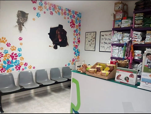 WhatsApp Image 2026-02-18 at 13.33.18 (1).jpeg