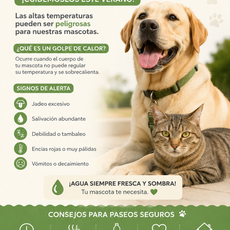 ☀️ Golpes de calor en mascotas: cómo prevenirlos este verano