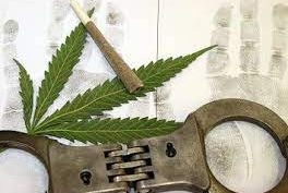 Biden Blows it on Weed Pardons. White House Frees Zero Pot Offenders
