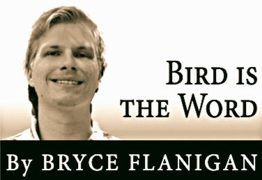 Be on the Lookout for Bird Flu