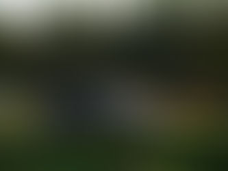 Ghidul complet pentru Jante Volvo XC60: aliaj, oțel sau 18 inch - ce să alegi?