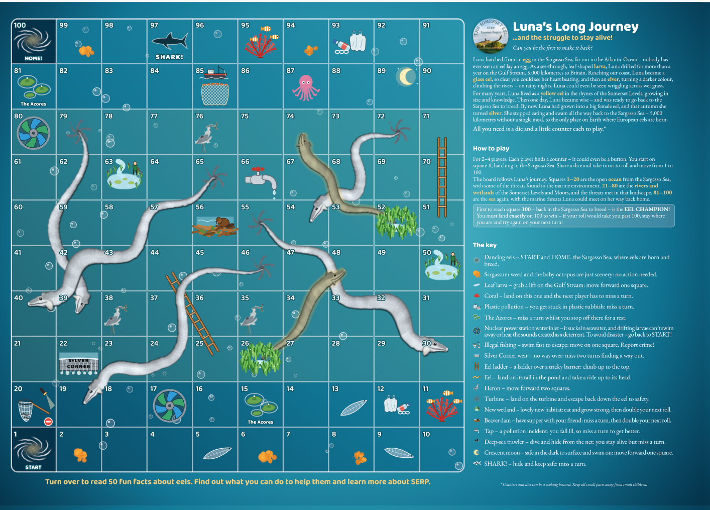 The great EEL GAME