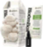 NuBlume Organic Lion's Mane Mushroom Grow Kit