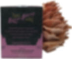 Extra Large Pink Oyster Mushroom Grow Kit