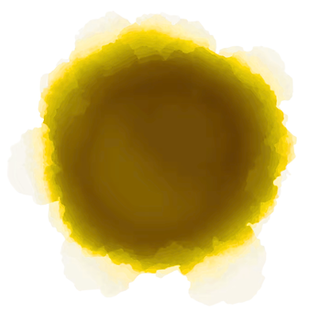 Untitled design (10).png