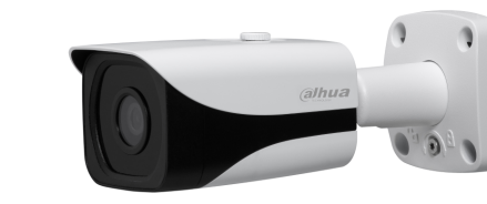 ipc-hfw4831e-se.png