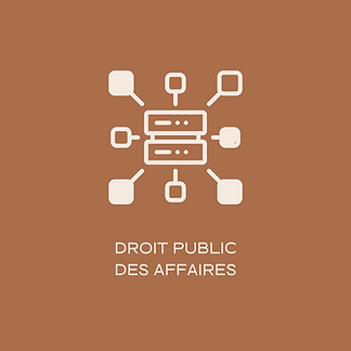 Droit public des affaires.png