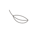 Elements_graphiques_01_Feuille 03.png
