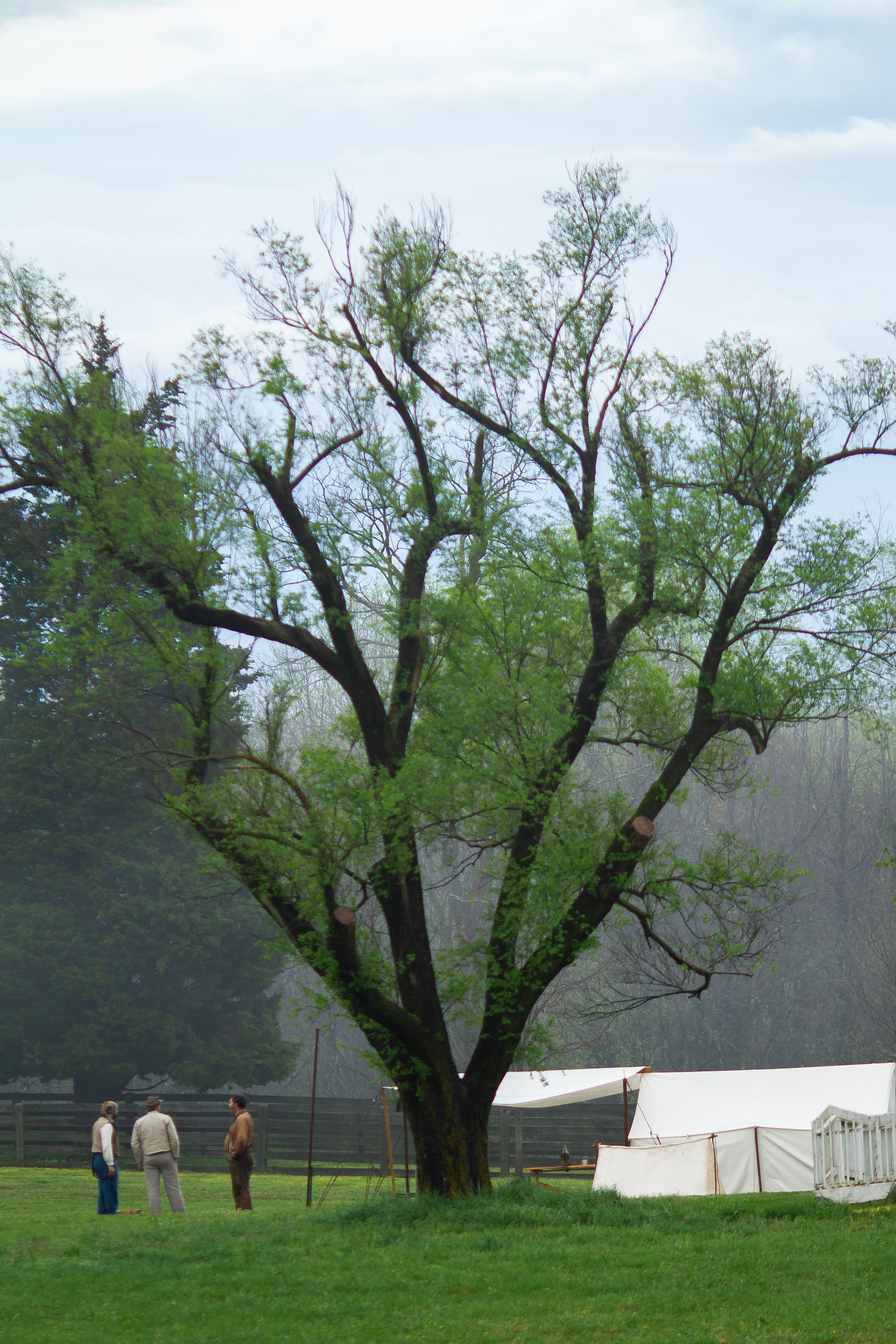 reenactors18