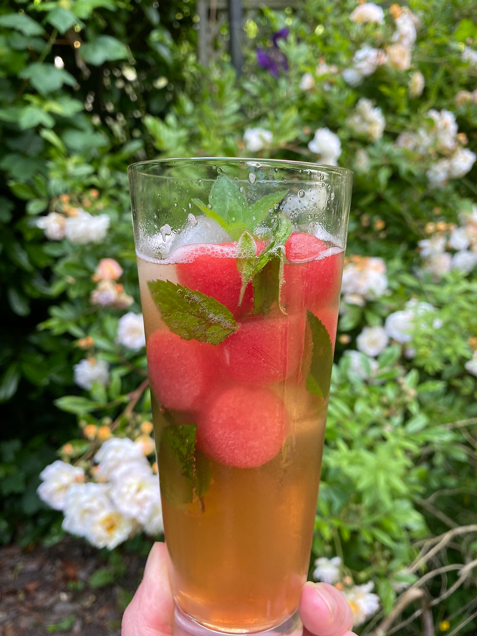 Watermelon Julep