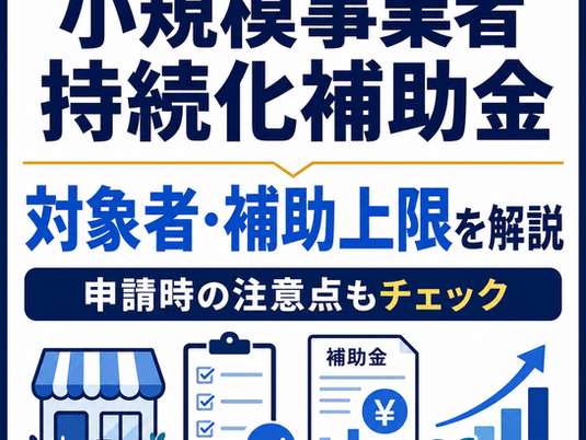小規模事業者持続化補助金の対象者・補助上限・申請ポイント