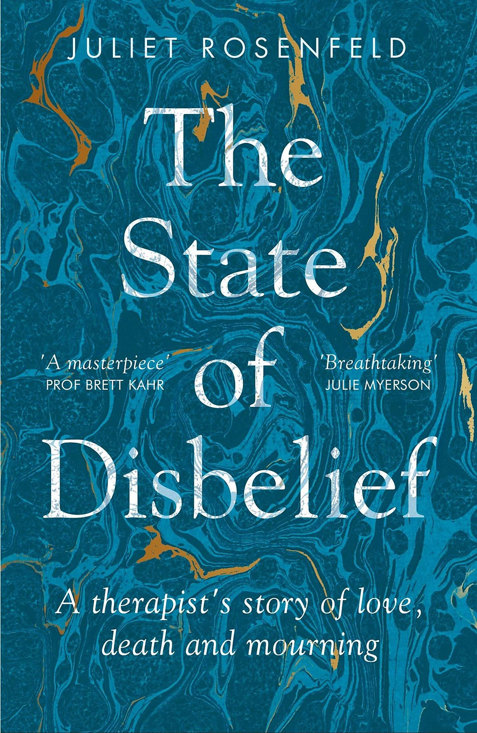 The State of Disbelief by Juliet Rosenfeld