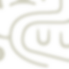 parads-14.png