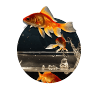 Get started jumping out of your job pool