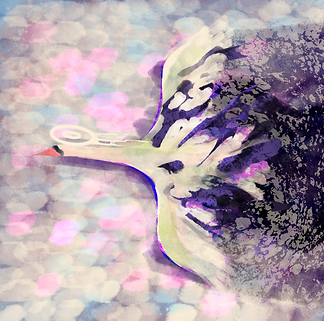 Untitled_Artwork (84).png